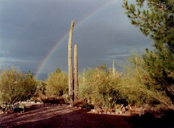 a fifteen-year-old rainbow over Tucson