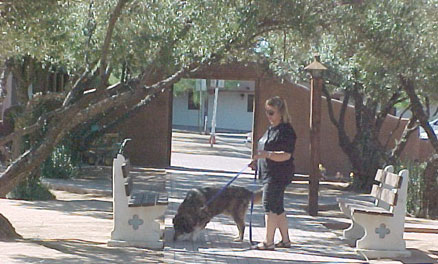 dog and owner near the archway