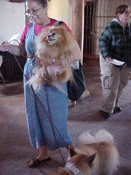 pomeranians and friend
