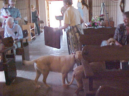 doggie visiting